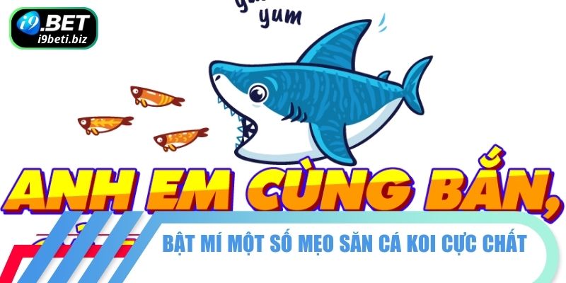Bật mí một số mẹo săn cá koi cực chất