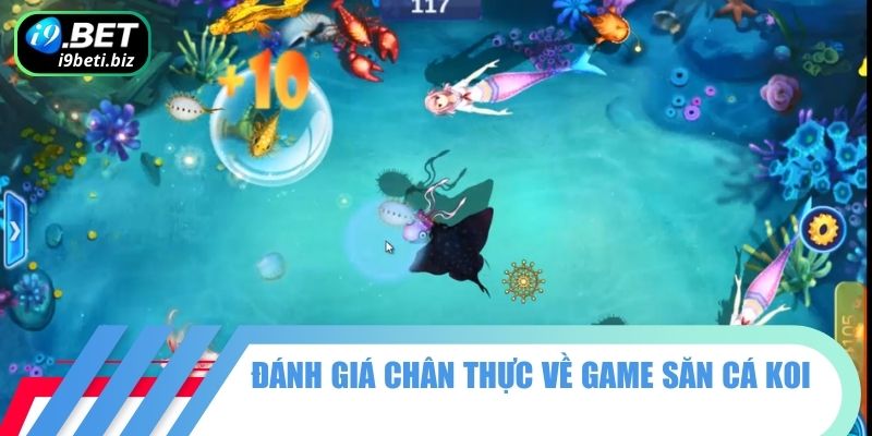 Đánh giá chân thực về game săn cá koi